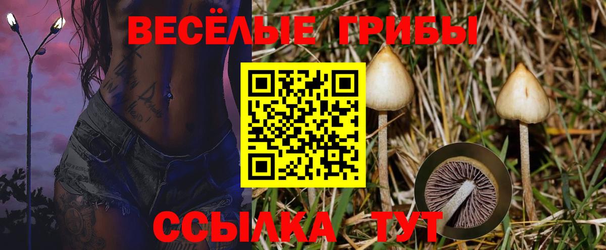 Галлюциногенные грибы MAGIC MUSHROOMS Симферополь